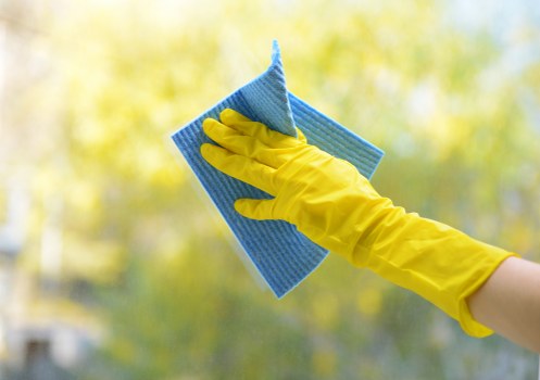 Professional oven cleaning service in Waterloo for a kitchen appliance deep clean