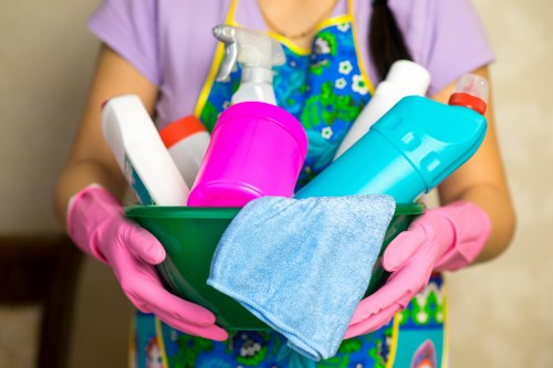 Professional sofa cleaning service in a Waterloo living room