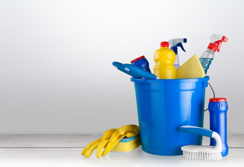 Professional pet stain and odour removal treatment on carpet in Waterloo