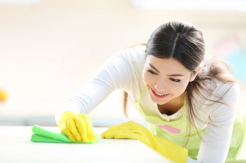 Gutter maintenance for residential and commercial buildings in Waterloo