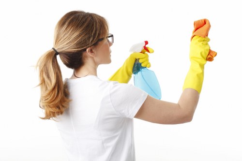 Professional routine cleaning for Waterloo kitchens and living spaces
