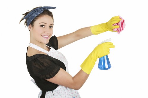 Safe exterior cleaning treatment for brick and render in Waterloo