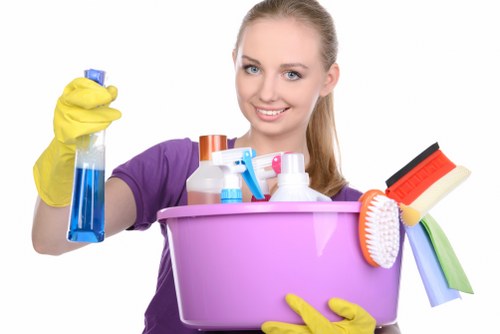 Bathroom sanitizing during an Airbnb cleaning service in Waterloo