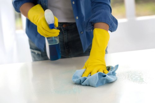 Sustainable carpet cleaning service in Waterloo with eco-friendly fleet