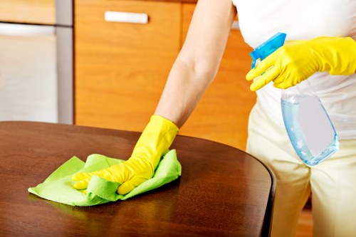 Local cleaning team supporting Waterloo property managers with rental turnover